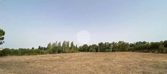  Land in Alghero, Italy No. 352579 5