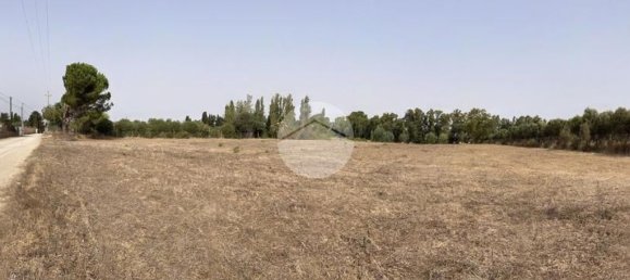  Land in Alghero, Italy No. 352579 14