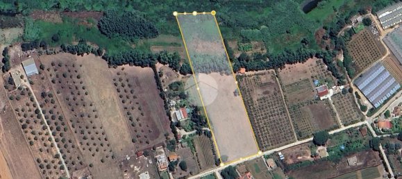  Land in Alghero, Italy No. 352579 13