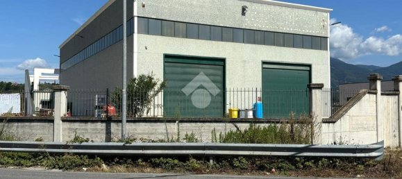 5 rooms Warehouse in Castelliri, Italy No. 282208 5