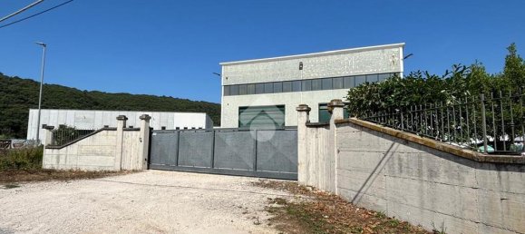 5 rooms Warehouse in Castelliri, Italy No. 282208 8