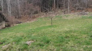  Land in Velden am Worther See, Austria No. 164068