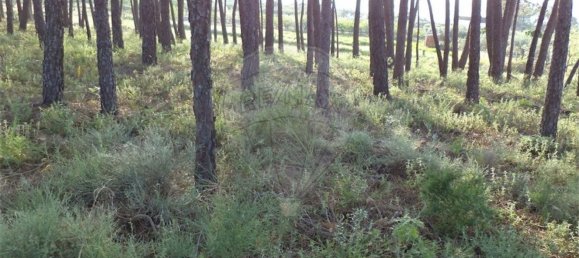 1 chambre Maison à Fundao, Portugal No. 74626 42