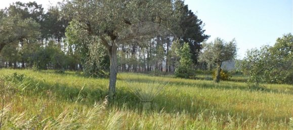 1 chambre Maison à Fundao, Portugal No. 74626 23