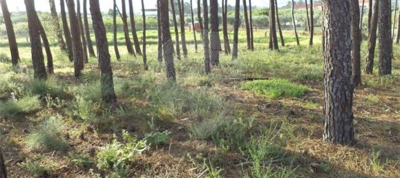 1 chambre Maison à Fundao, Portugal No. 74626 46