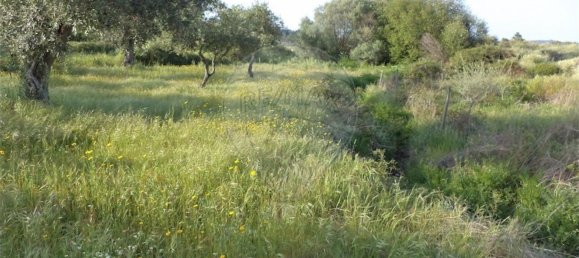 1 chambre Maison à Fundao, Portugal No. 74626 34