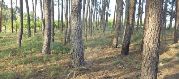 1 chambre Maison à Fundao, Portugal No. 74626 44