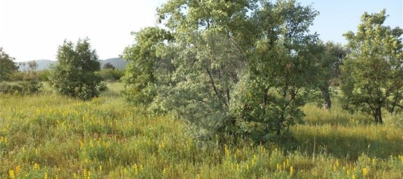 1 chambre Maison à Fundao, Portugal No. 74626 28