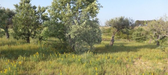 1 chambre Maison à Fundao, Portugal No. 74626 29