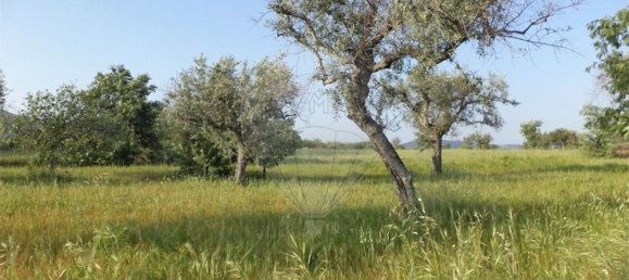 1 chambre Maison à Fundao, Portugal No. 74626 24