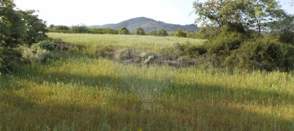 1 chambre Maison à Fundao, Portugal No. 74626 32
