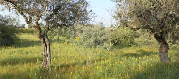 1 chambre Maison à Fundao, Portugal No. 74626 33