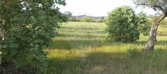 1 chambre Maison à Fundao, Portugal No. 74626 31
