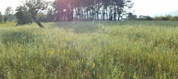 1 chambre Maison à Fundao, Portugal No. 74626 37