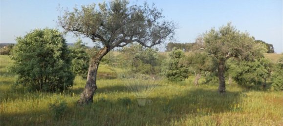 1 chambre Maison à Fundao, Portugal No. 74626 30