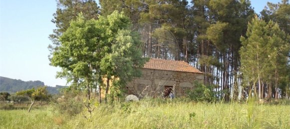 1 chambre Maison à Fundao, Portugal No. 74626 4