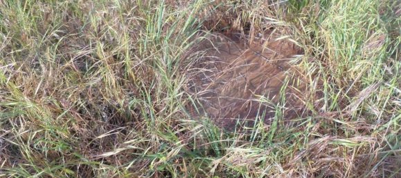 1 chambre Maison à Fundao, Portugal No. 74626 19