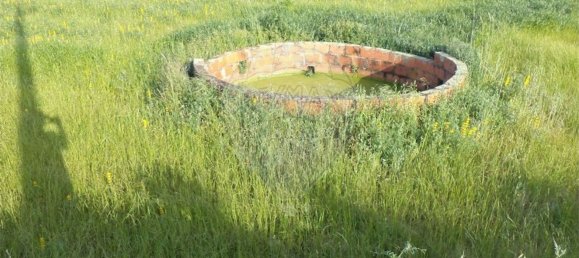 1 chambre Maison à Fundao, Portugal No. 74626 13