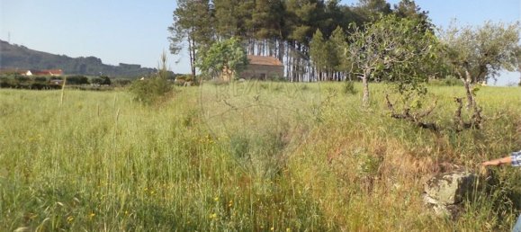 1 chambre Maison à Fundao, Portugal No. 74626 11