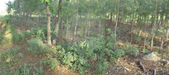 1 chambre Maison à Fundao, Portugal No. 74626 47
