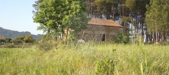 1 chambre Maison à Fundao, Portugal No. 74626 3
