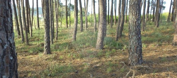 1 chambre Maison à Fundao, Portugal No. 74626 45