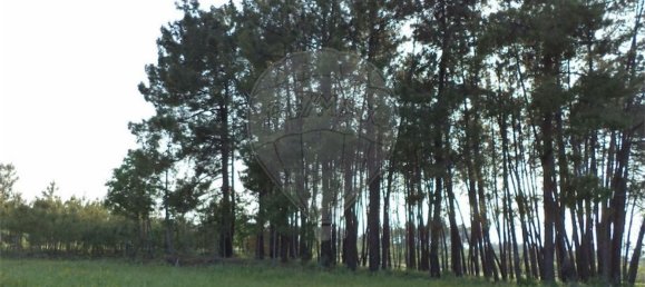 1 chambre Maison à Fundao, Portugal No. 74626 38