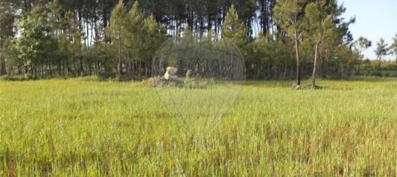 1 chambre Maison à Fundao, Portugal No. 74626 22