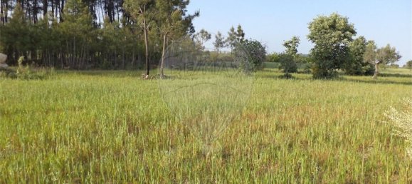 1 chambre Maison à Fundao, Portugal No. 74626 21