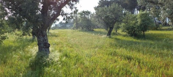 1 chambre Maison à Fundao, Portugal No. 74626 25