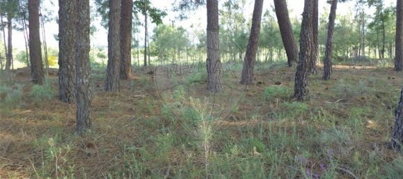 1 chambre Maison à Fundao, Portugal No. 74626 43
