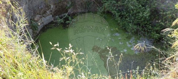 1 chambre Maison à Fundao, Portugal No. 74626 18