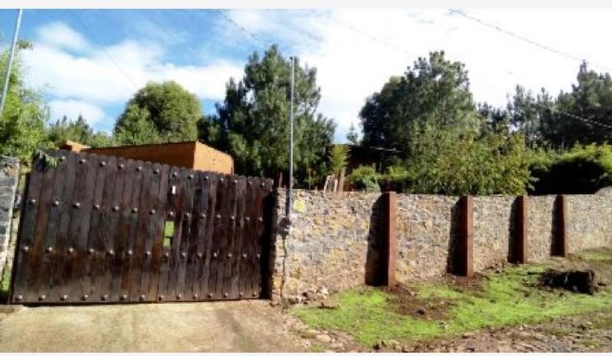 Studio in Atemajac de Brizuela, Mexico, Nr. 145552