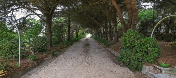 4 bedrooms Land in Colares, Portugal No. 123583 12