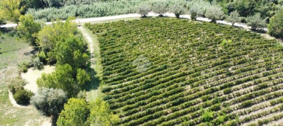  قطعة أرض في Giulianova, Italy 52920متر مربع رقم 343607 5