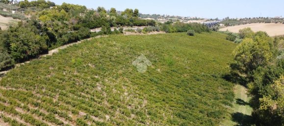  قطعة أرض في Giulianova, Italy 52920متر مربع رقم 343607 4