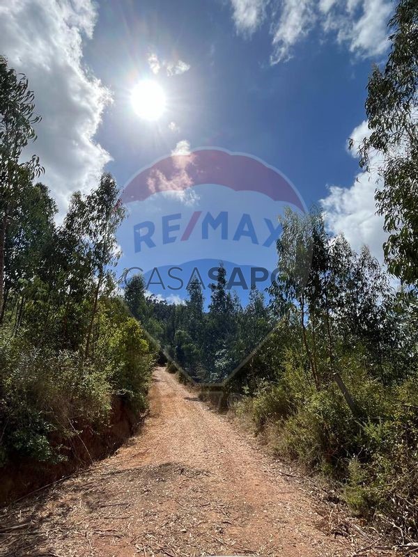  Land in Macas de Dona Maria, Portugal No. 200865