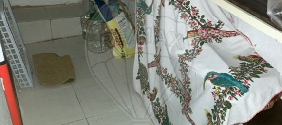 4 bedrooms House in Escalhao, Portugal No. 182032 16