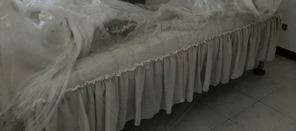 4 bedrooms House in Escalhao, Portugal No. 182032 8