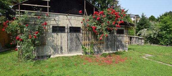 Дом с 5 комнатами в Мельк, Австрия № 130453 3