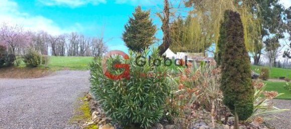 2 chambres Maison à Occitanie, France No. 310324 8