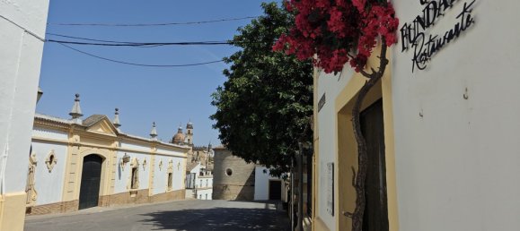 Apartamento de 1 dormitorio en Jerez de la Frontera, Spain No. 148606 19