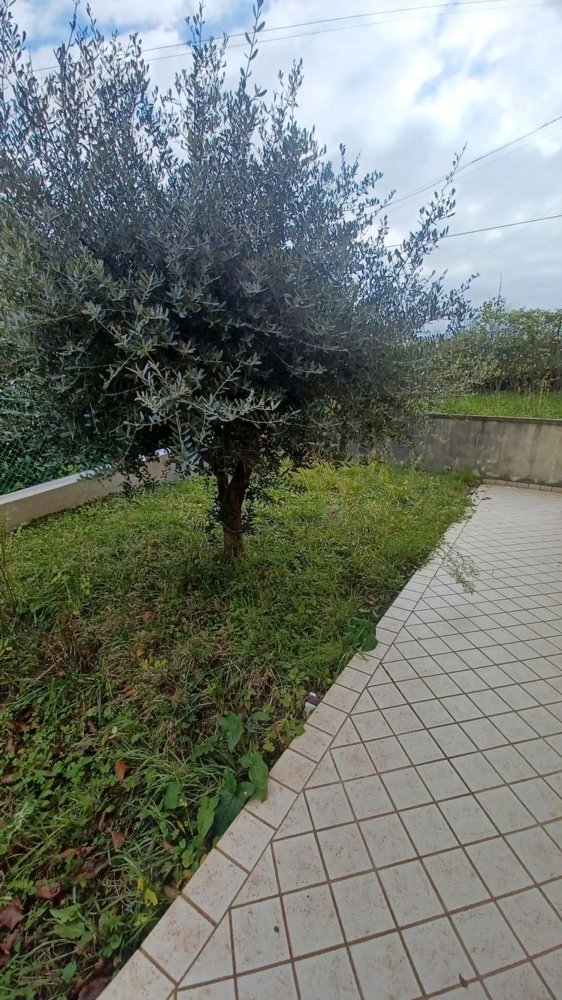 Apartamento de 2 habitaciónes en Monte Grimano Terme, Italy No. 228517