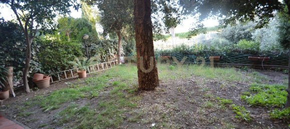 7 rooms House in Grosseto, Italy No. 67357 25