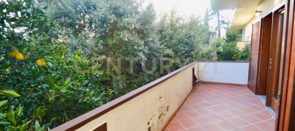 7 rooms House in Grosseto, Italy No. 67357 7