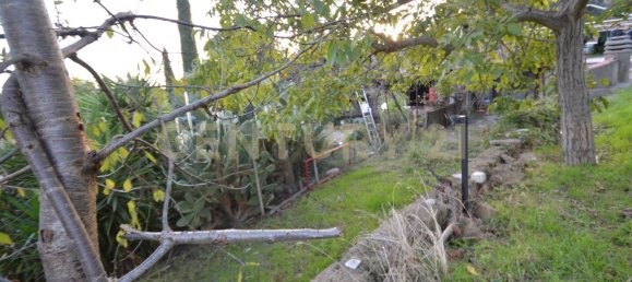 7 rooms House in Grosseto, Italy No. 67357 37