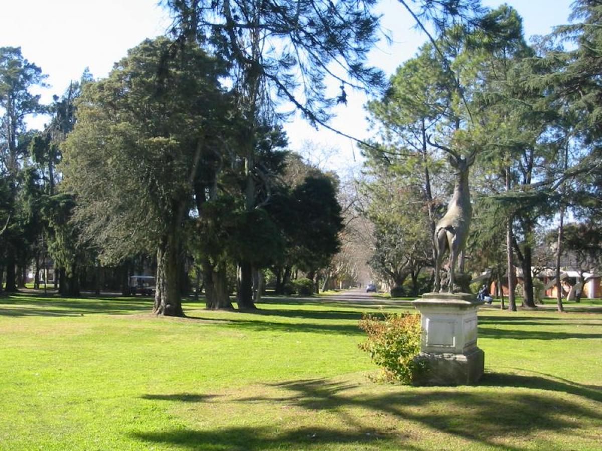 5 bedrooms House in Presidente Peron, Argentina No. 8200