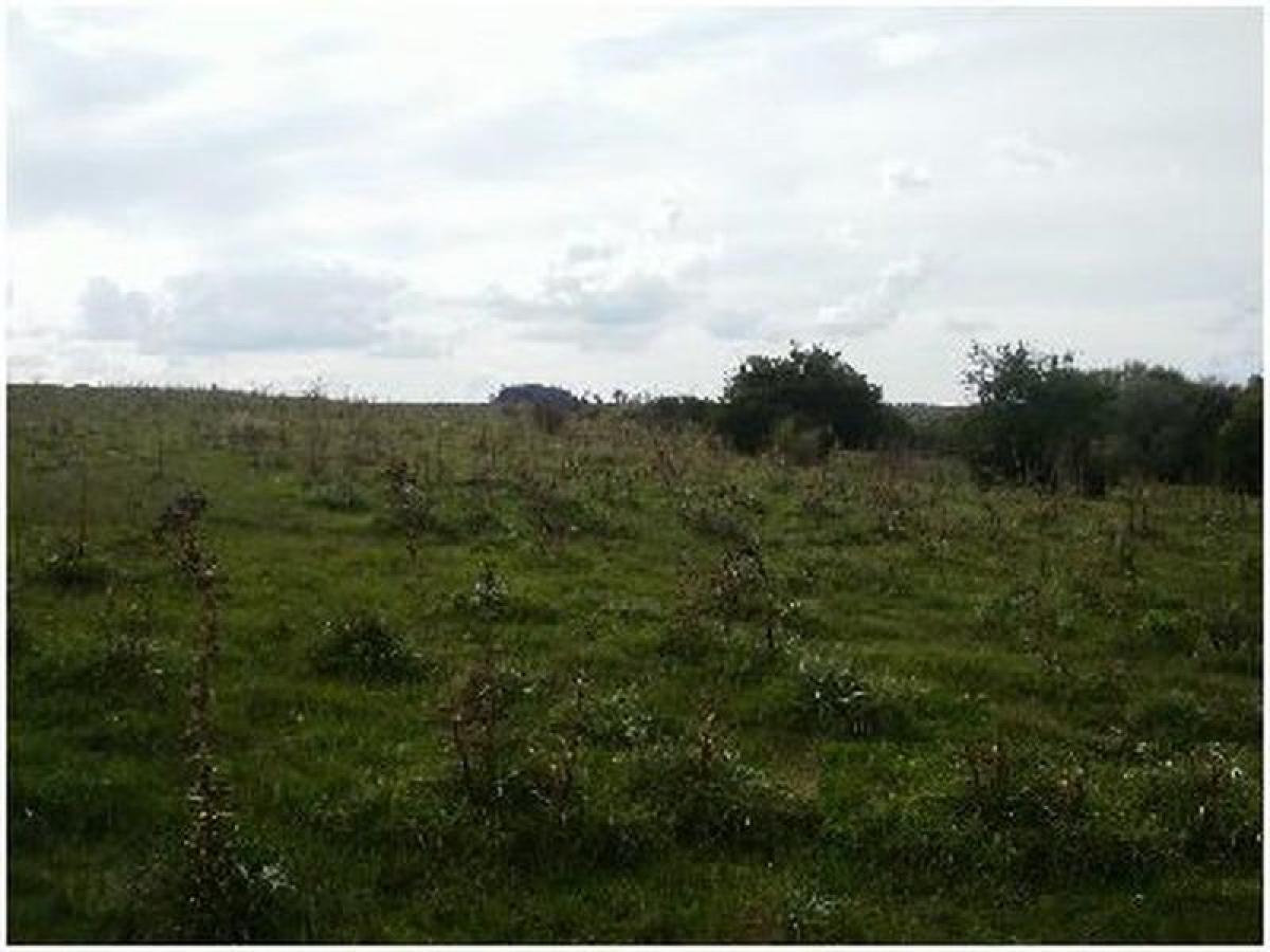 Quinta em Maldonado, Uruguay N.º 14851