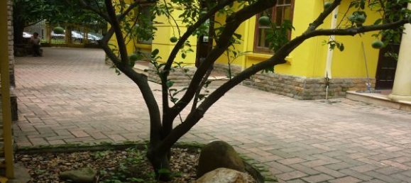 647.5m² Villa in Cau Giay, Vietnam No. 6766 10