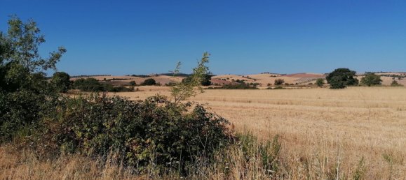 Земельный участок 218000м² в Манчано, Италия № 133247 12